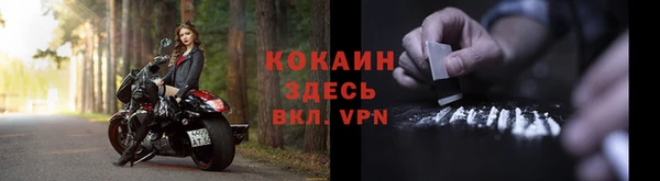 spice Алзамай