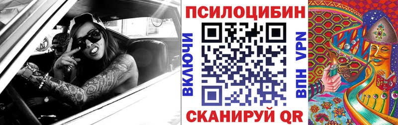 гидра как войти  Шелехов  Галлюциногенные грибы мицелий 
